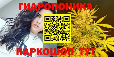 твердый Коммунар