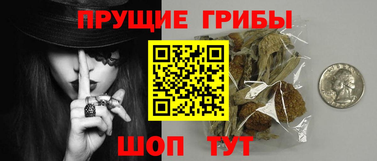 Псилоцибиновые грибы MAGIC MUSHROOMS  Вход с VPN  Псилоцибиновые грибы мухоморы  Кемерово 